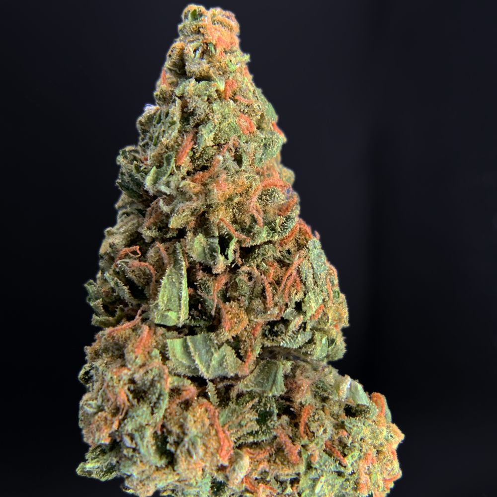 Black Runtz Exclusive Designer Exotic Blooms Experience Washington