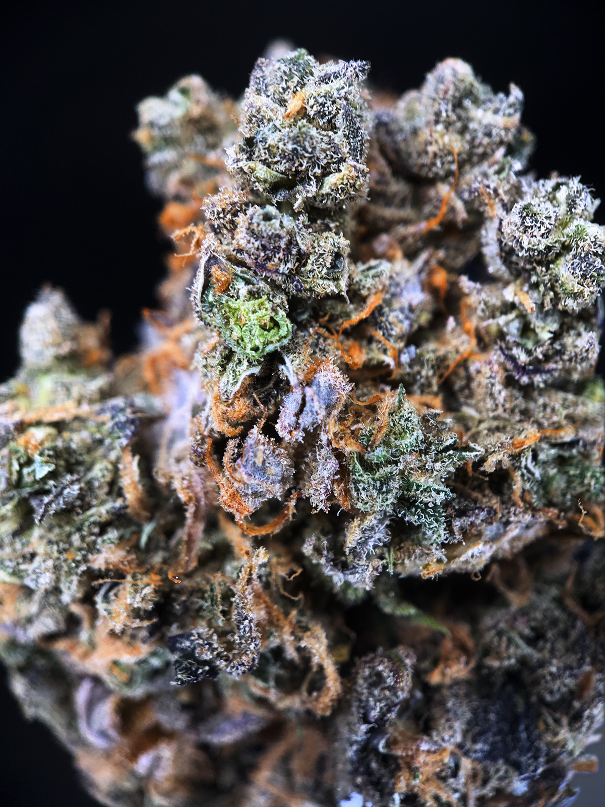 Black Diamond Private Reserve Exotic Blooms Experience Washington D C S Premier Exclusive Cali Medical Grade Flower