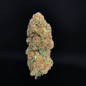 Hawaiian Punch Strain Washington DC