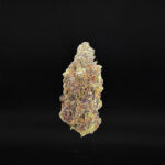 Biscotti Strain Exotic Blooms Washington DC weed delivery