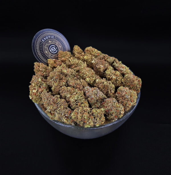 Champagne Kush Strain Exotic Blooms Washington DC weed delivery