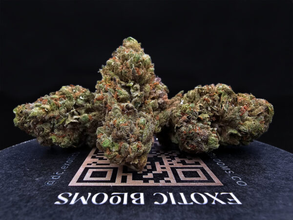 Champagne Kush Strain Exotic Blooms Washington DC weed delivery