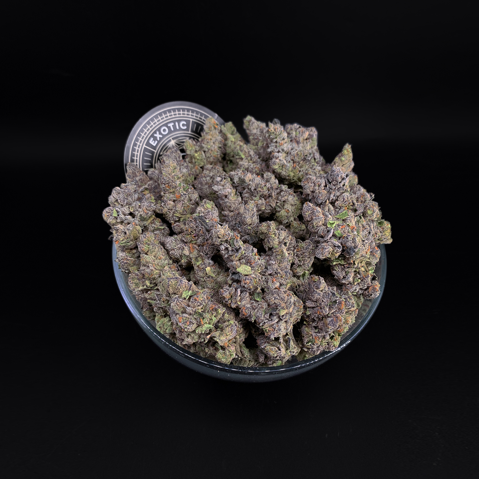 Fuel Biscuits Strain Archives Exotic Blooms Experience Washington D