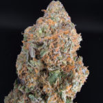 Purple Punch Strain Washington DC