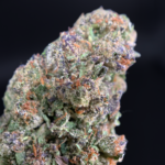 Ice cream cake strain washington DC