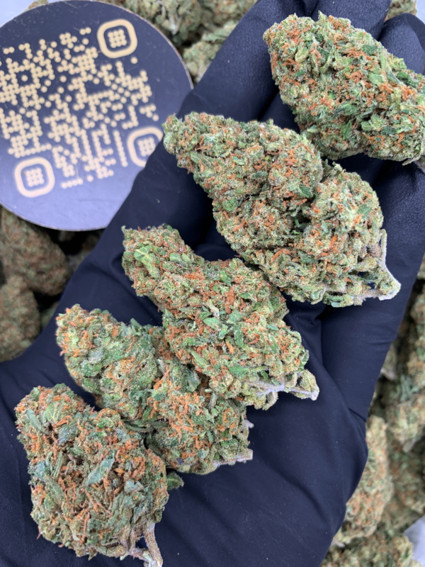 Blue Dream Strain Washington DC Virginia Maryland