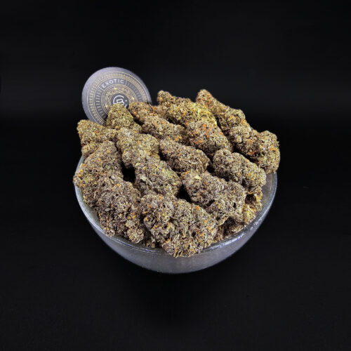 Flower Delivery DC Archives Exotic Blooms Experience Washington D.C