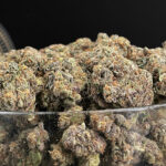 G6 Strain Exotic Blooms Washington DC weed delivery