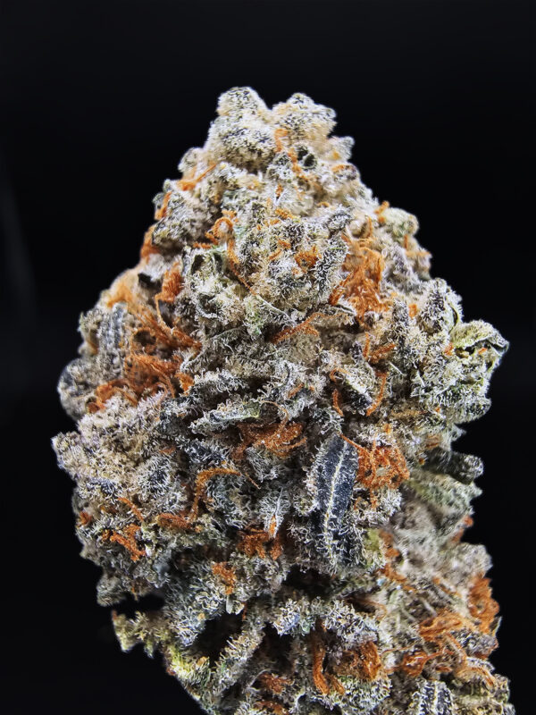 Starfighter Strain Exotic Blooms Washington DC weed delivery