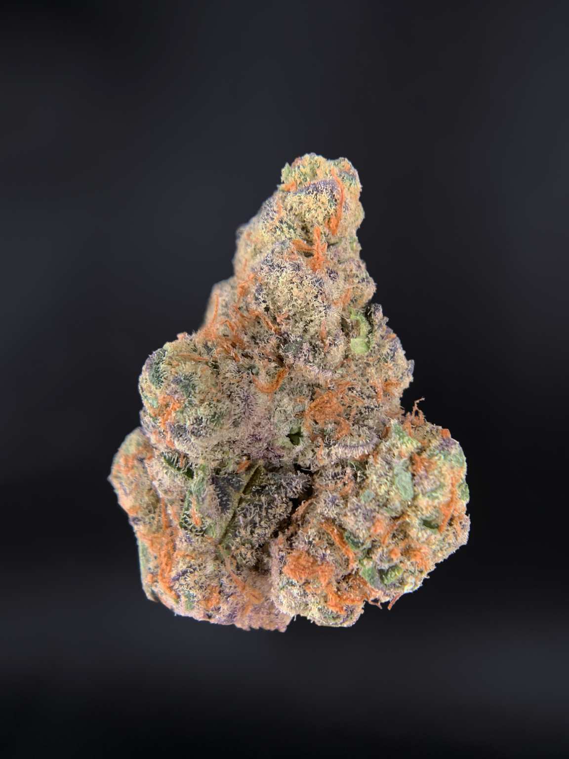 Glitter Bomb Indica Exclusive Designer **OUT OF STOCK** Exotic Blooms