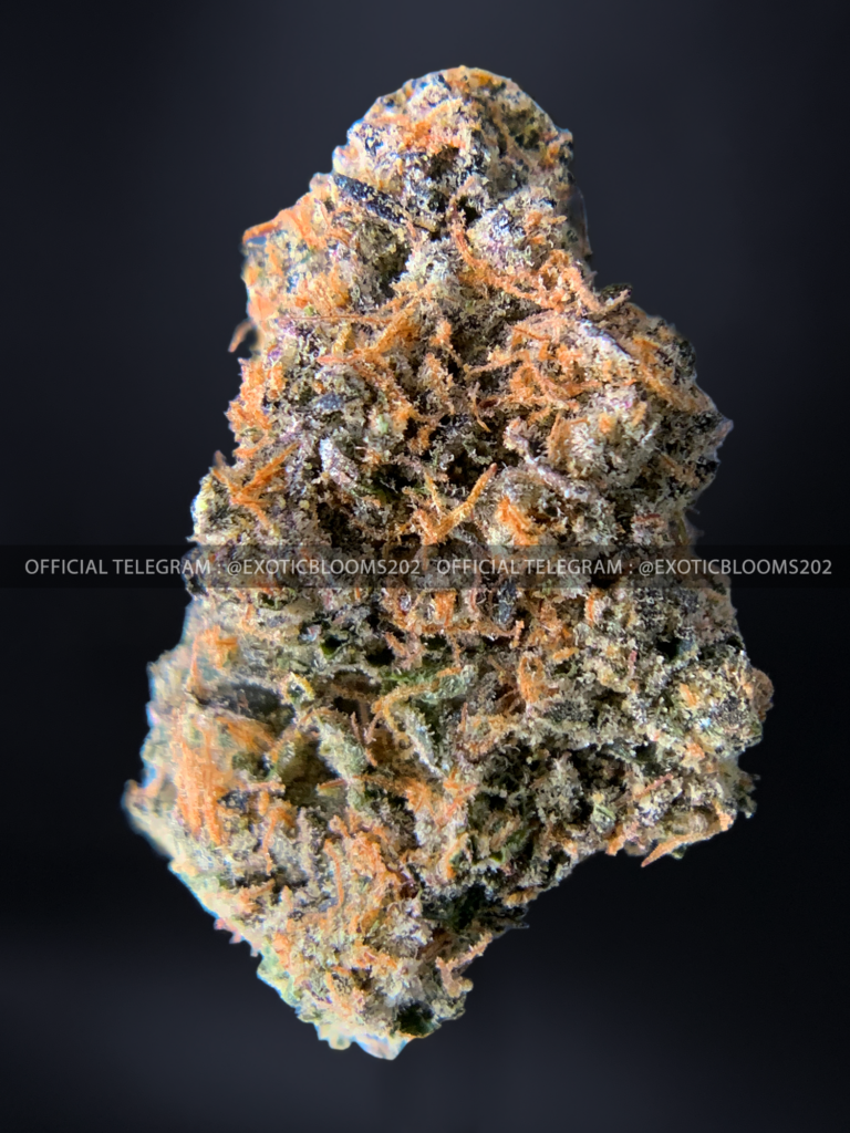 Purple Push Pop x Permanent Marker by Doja *OUT OF STOCK* Exotic Blooms Delivery DC Weed